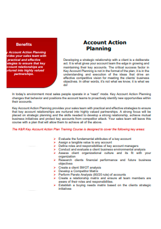 Account Action Planning in PDF