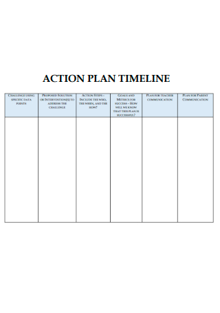 Action Plan Timeline