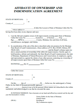 Affidavit of Ownership and Indemnification Agreement