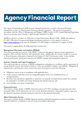 Agency Financial Report