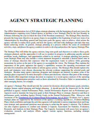 Agency Strategic Planning