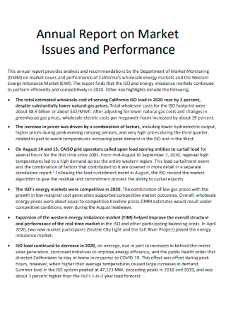 Annual Report on Market Issues and Performance