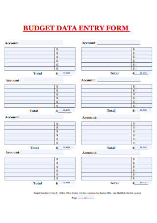 Budget Data Entry Form