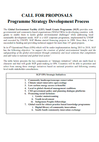 Call for Proposal Programme Strategy Development Process