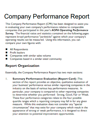 Company Performance Report