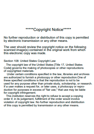 Copyright Notice Example
