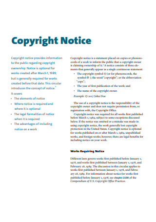 Copyright Notice Template