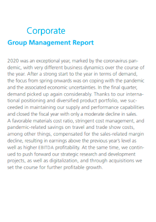 Corporate Group Management Report