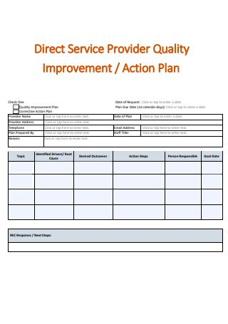 Direct Service Provider Quality Improvement Action Plan
