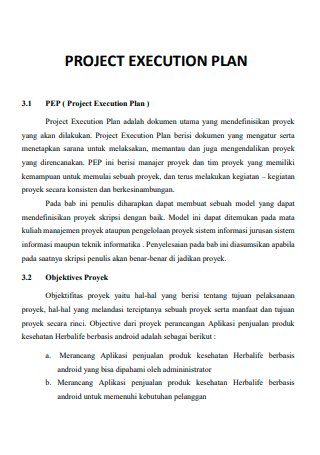 Draft Project Execution Plan