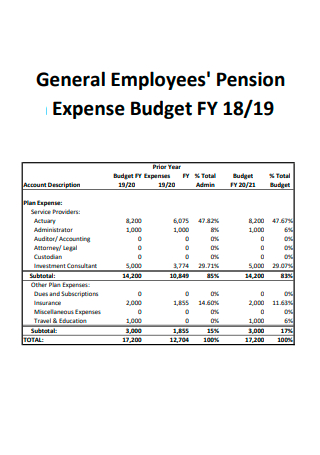 Employees Pension Expense Budget