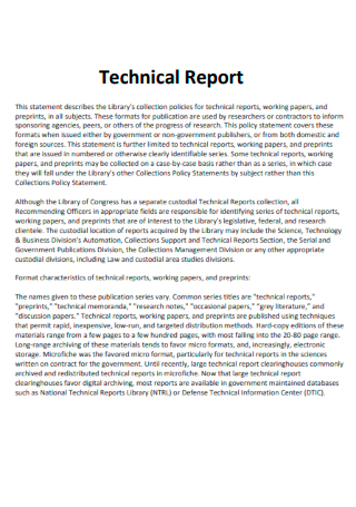 Formal Technical Report