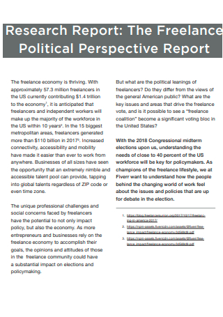 Freelance Political Perspective Report