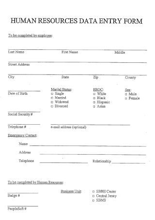 Human Resources Data Entry Form