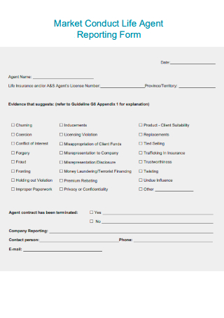 Market Conduct Life Agent Reporting Form