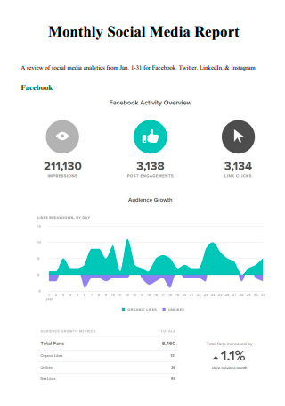 Monthly Social Media Report