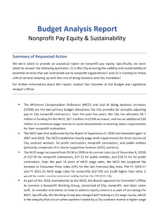 Nonprofit Pay Equity Sustainability Budget Analysis Report