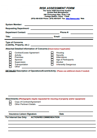 Printable Risk Assessment Form