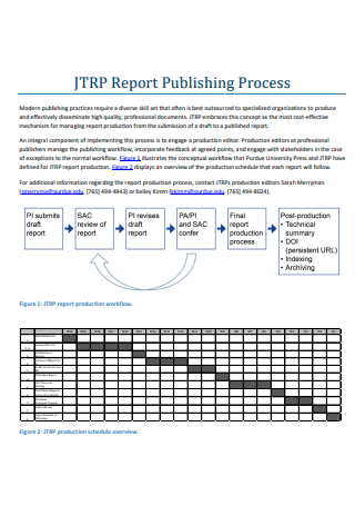 Process Publishing Report
