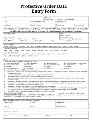 Protective Order Data Entry Form