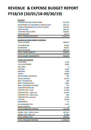 Revenue and Expense Budget Report
