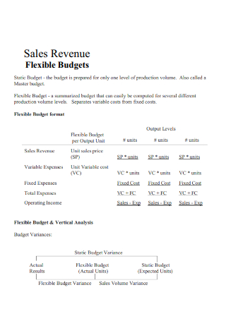 Sales Revenue Flexible Budget