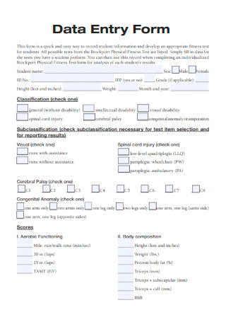 Sample Data Entry Form