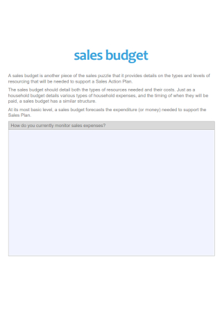Sample Sales Budget
