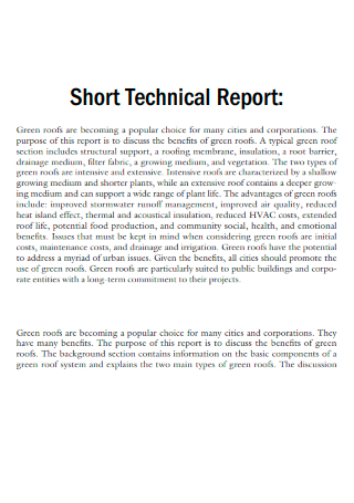 Short Technical Report