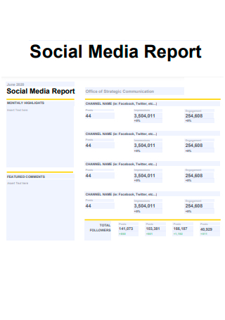 Social Media Report Format