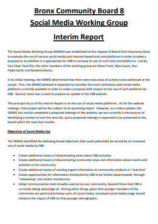 Social Media Working Group Interim Report