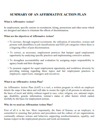 Summary of an Affirmative Action Plan