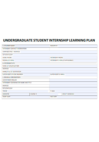 Undergraduate Student Internship Learning Plan