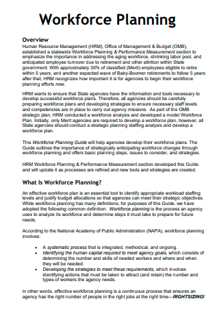 Workforce Planning in PDF