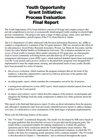 Youth Opportunity Process Evaluation Final Report