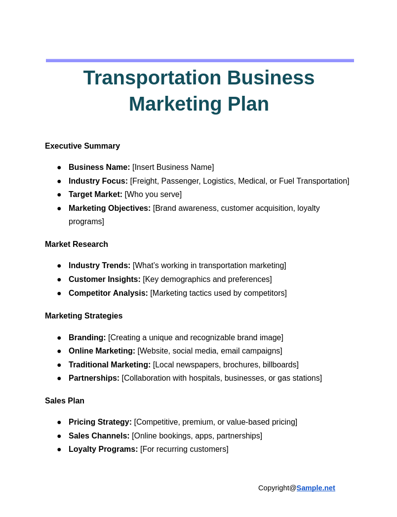 Transportation Business Marketing Plan Google Docs 11 11 2024 03 56 PM