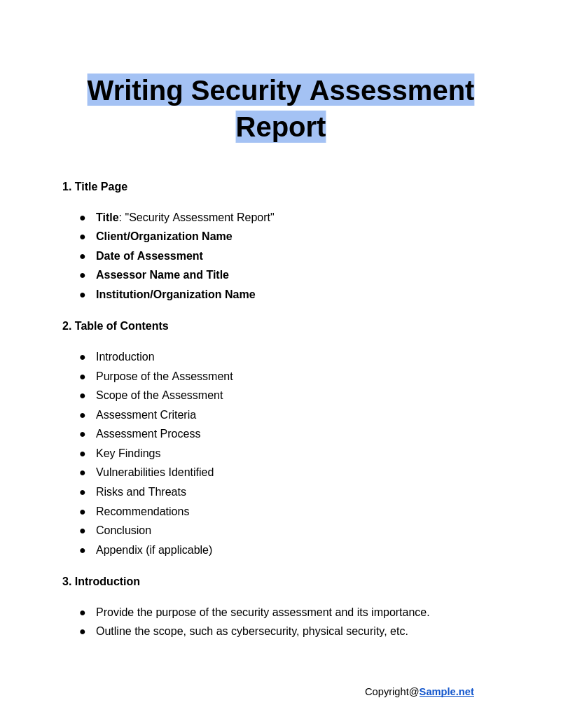 Writing Security Assessment Report Google Docs 12 19 2024 04 23 PM