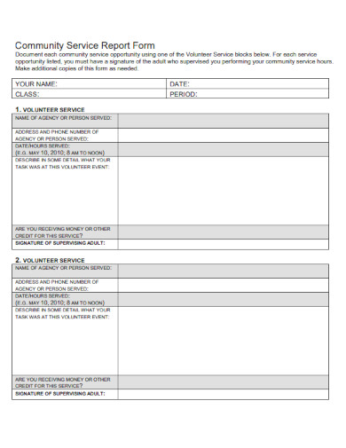 Community Service Report Form