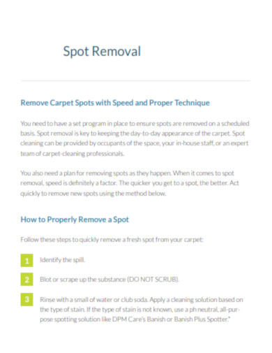 Remove Carpet Spots