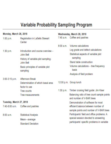 Variable Probability Sampling Program