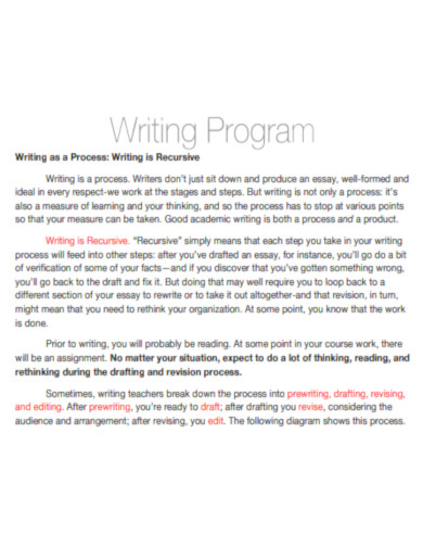 Writing Program Process