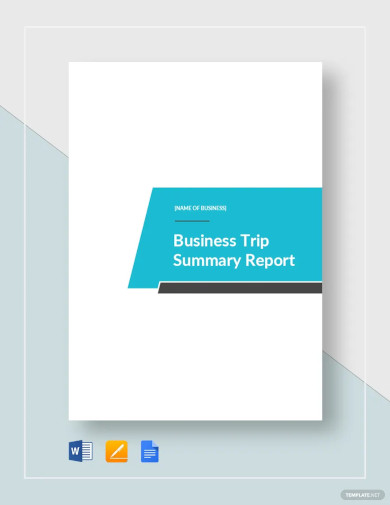 Business Trip Summary Report Template