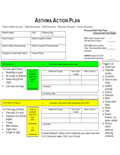 Childern Asthma Action Plan 