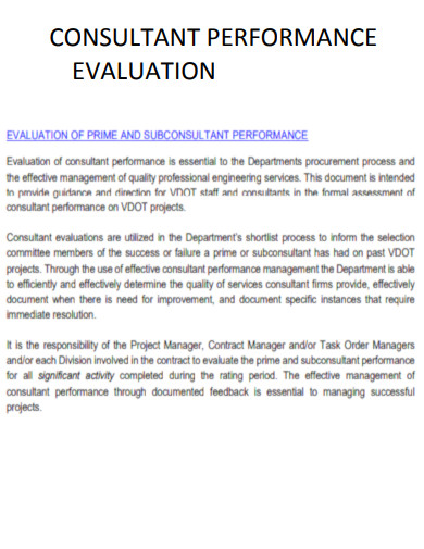 Consultant Performance Evaluation