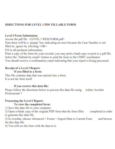 Direction for Completing Level 1 PDF Fillable Form