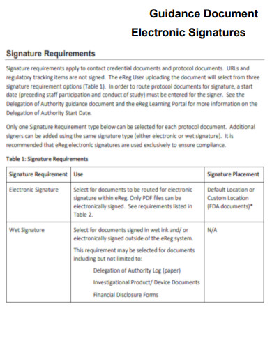 Electronic Signatures Document