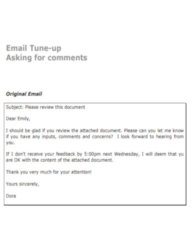 Email Asking for Comments