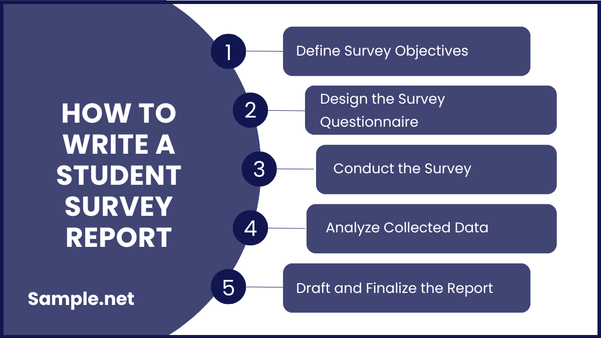 How to Write a Student Survey Report