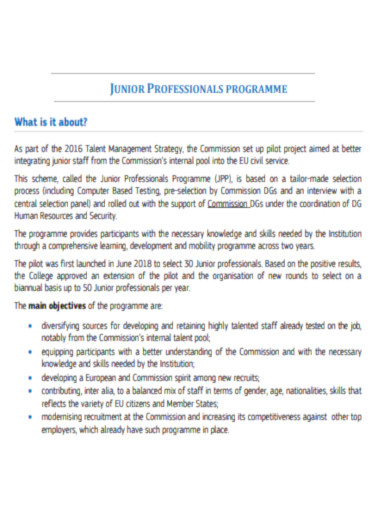 Junior Professionals Programme