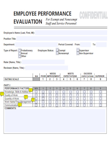 Performance Evaluation PDF
